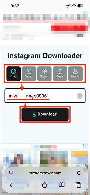見たい投稿の種類を選択してユーザー名をペースト→Downloadをタップ