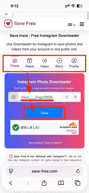 「Save Free」のサイトにアクセスし、見たいアカウントを検索する