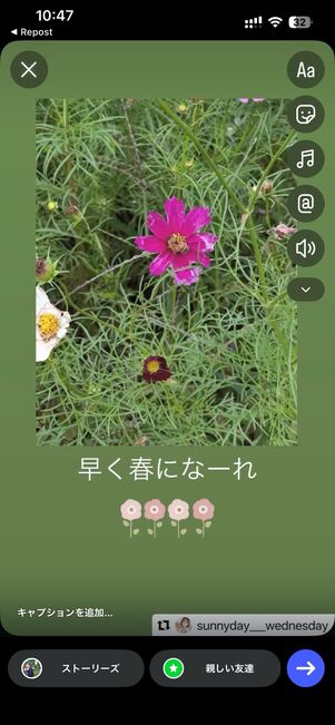 ストーリーをリポストする