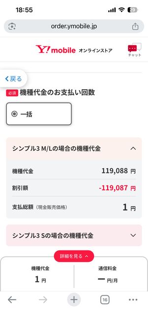 お支払い回数はデフォルトで「一括」が選択されている