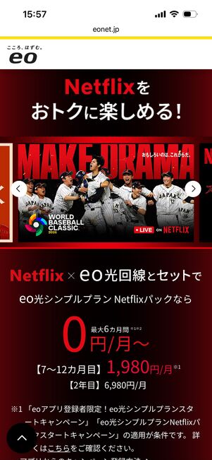eo光　Netflixキャンペーン