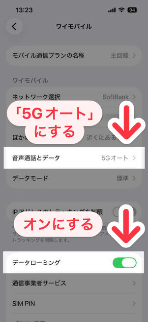 「設定」アプリ：モバイルデータ通信のオプション