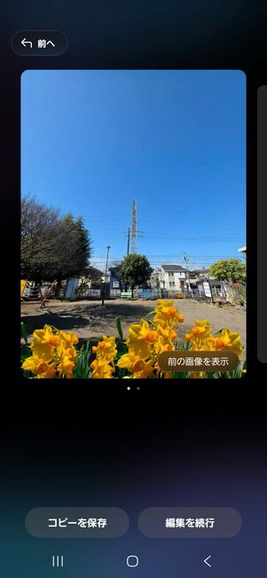 他の写真の一部を貼り付ける機能もAIでとても素敵に仕上がる