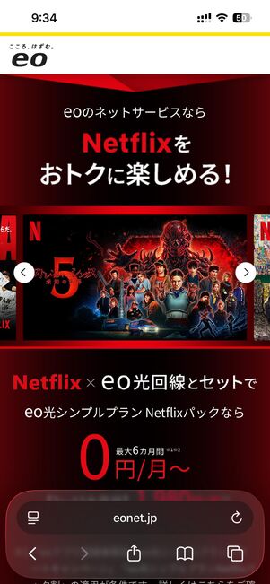 eo光の「eo光シンプルプランNetflixパック」