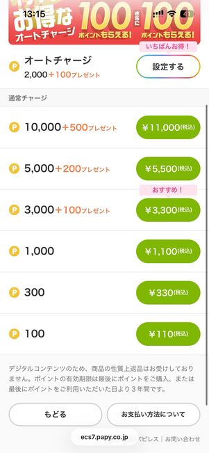 ポイントを選択し、支払い方法を決める