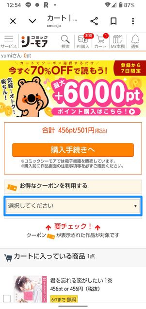 「お得なクーポンを利用する」のプルダウンからクーポンを選択する