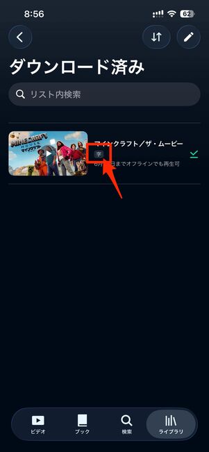 字幕版でダウンロードできた