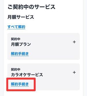 月額プラン以外にも契約中のサービスがあれば個別に解約