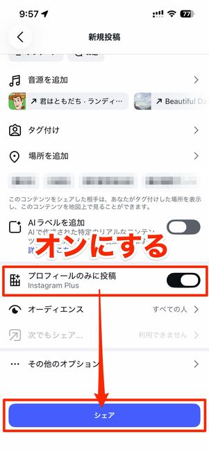投稿作成画面で「プロフィールのみに投稿」をオンにしシェア
