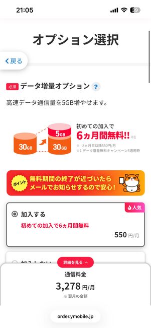 オプション選択