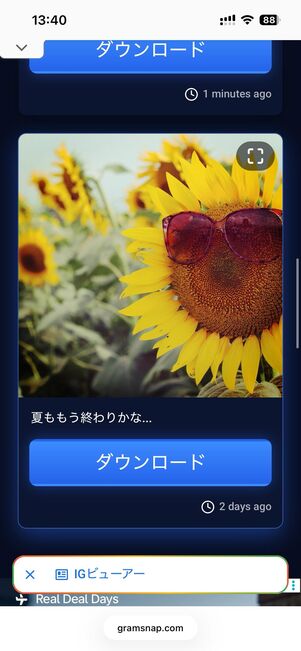 画面を下にスクロールするとフィード投稿を閲覧できる