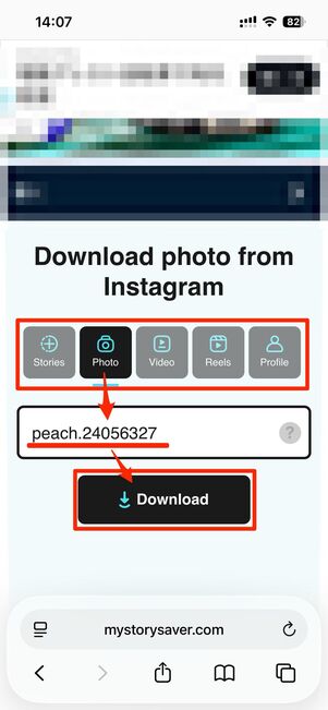 見たい投稿の種類を選択してユーザー名をペースト→Downloadをタップ