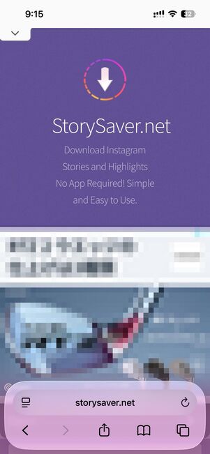 「StorySaver.net」のトップ画面