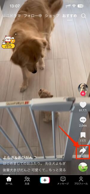 アプリ版TikTokでは、矢印（シェアボタン）をタップで動画の共有やダウンロードが可能
