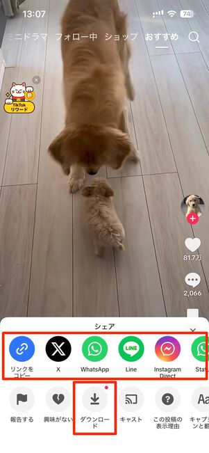 アプリ版TikTokでは、矢印（シェアボタン）をタップで動画の共有やダウンロードが可能
