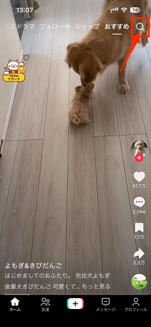 アプリ版TikTokでは、ホーム画面右上の検索ボタンから検索機能が使える