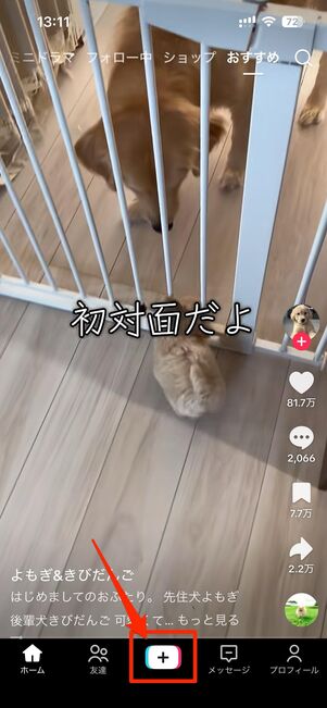 動画の撮影や作成はできない