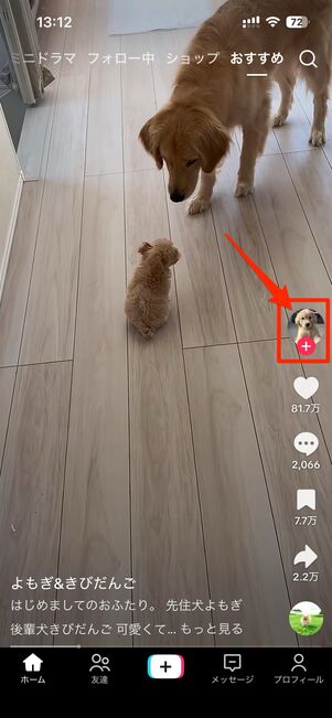 ユーザーのフォローはできない