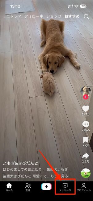 ユーザー同士でやりとりできるメッセージ機能は使えない