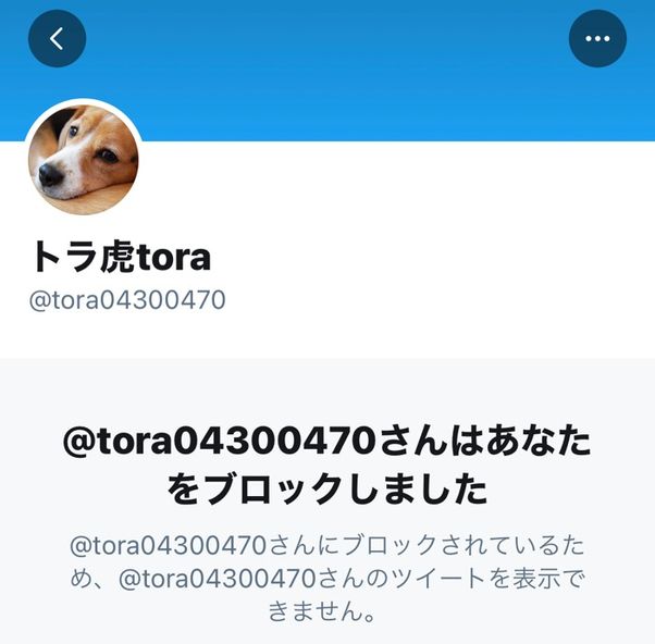 ブロックされた時の相手のプロフィール画面