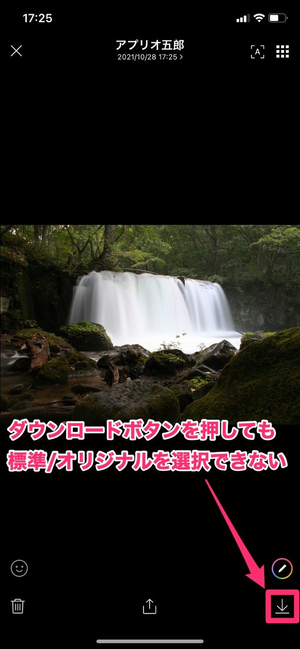【LINE】オリジナル画質でも保存を選択できないケース