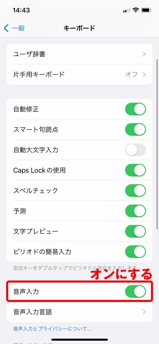 キーボードの画面で音声入力をオンにする