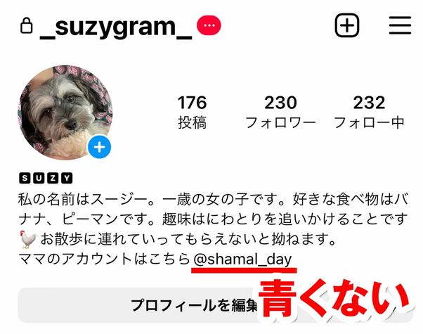 プロフィール 青い
