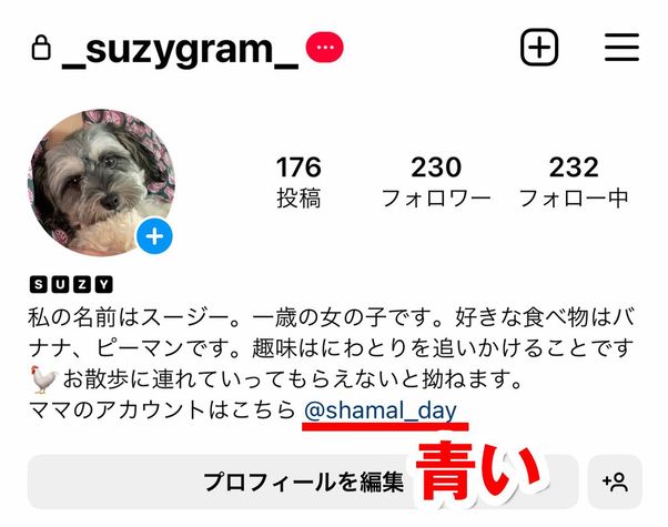 プロフィール 青い