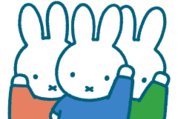 Pinkoi × miffy