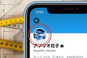 Twitterのアイコンのサイズはどのくらい？ 画像を丸くするアプリも紹介