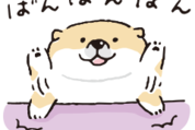 しばんばん×選べるニュース