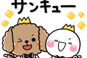 しろまる × わんわん王子