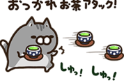 ボンレス犬と猫 | LINEアンケート