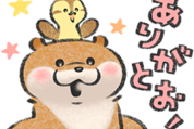 可愛い嘘のカワウソ × LINE Pay