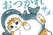 サメにゃん×ロクシタン