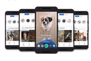 Google、自分のペットとそっくりな絵画作品が探せる「ペットポートレート」を発表　「Google Art & Culture」アプリで利用可能