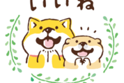 しばんばん×N organic