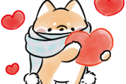 ほんわかしばいぬ×LINEバイト<冬>