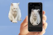 LINEスタンプの作り方ガイド──写真を使ってスマホでかんたん作成