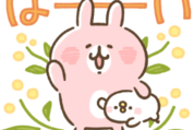 N organic×カナヘイの小動物