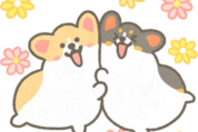 1コギのともだちスタンプ