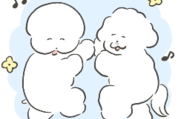 ワヌ山×ミュゼプラチナム
