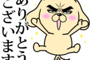 目ヂカラ☆わんこ × タイヤ館