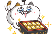 動く！タマ川ヨシ子（猫）第27弾