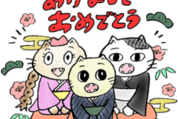【謹賀新年】ZOZOTOWN箱猫たかし