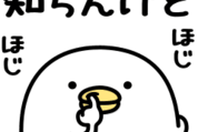 うるせぇトリ × NURO 光