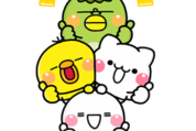【BIG】しろまる×N organic