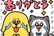 まめきちまめこ×ミュゼプラチナム