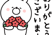 ガーリーくまさん×ココピタあったか実感