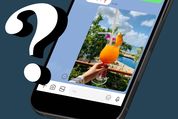 写真が送れないときの対処法